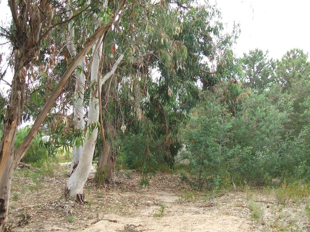 Residence Santa جيزنوكسيا المظهر الخارجي الصورة